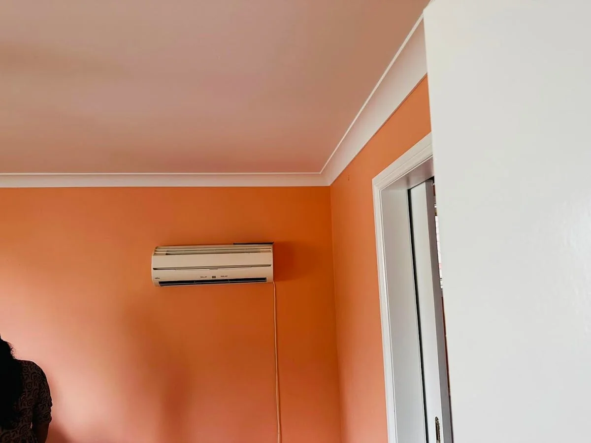 Sydney Pro Painting & Renovating Services - Project 2