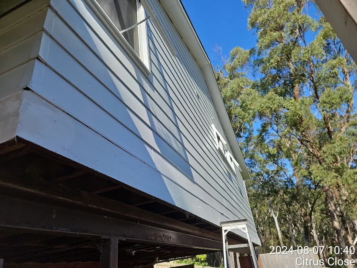 JUNS PAINTING - Project 4