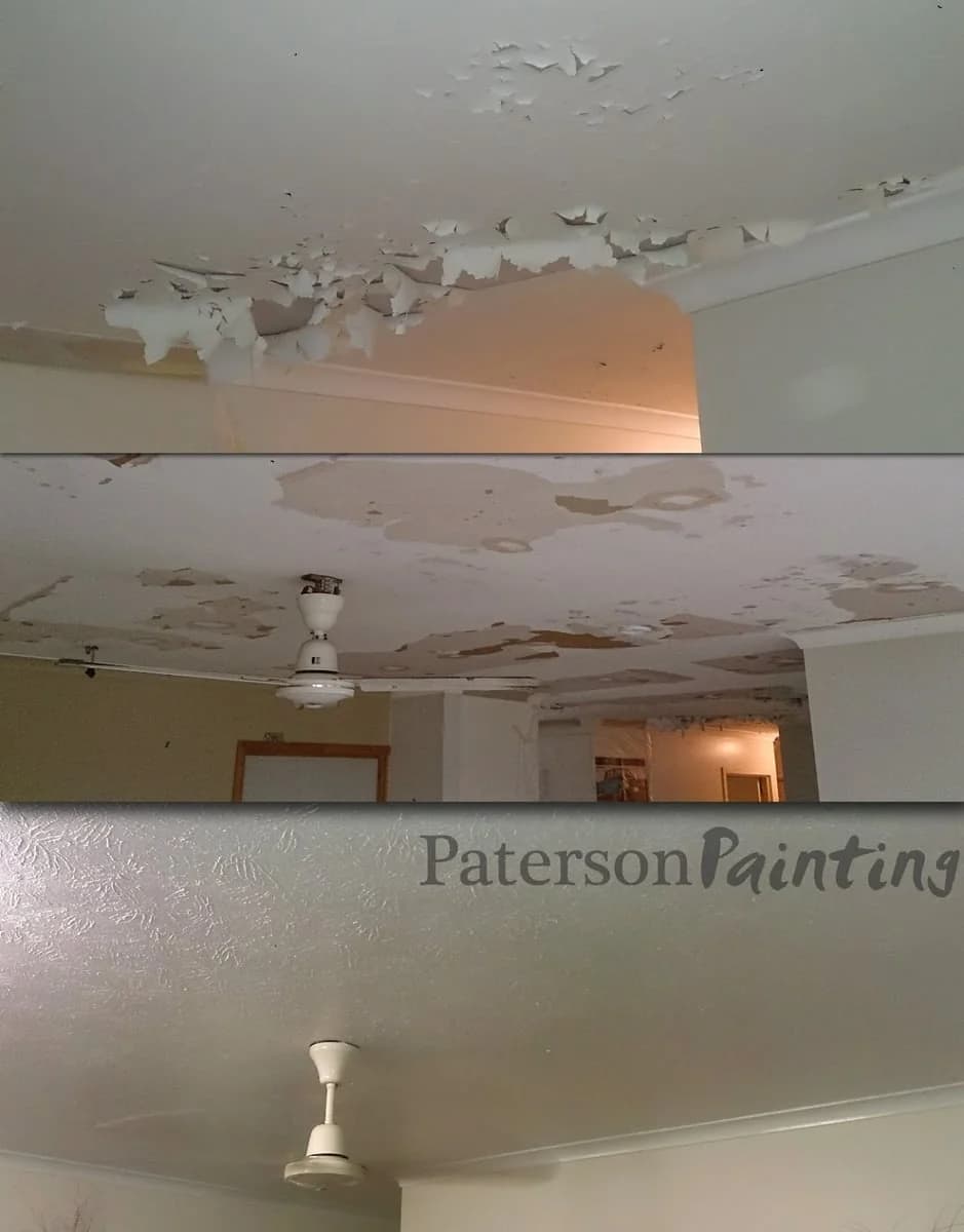 Paterson Painting - Project 2