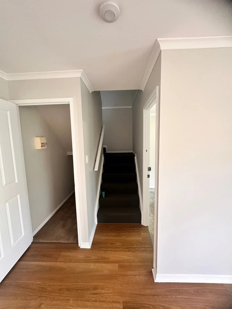 110aa901-aeaf-45a1-a44e-1e4b12e36fe5 photo 1