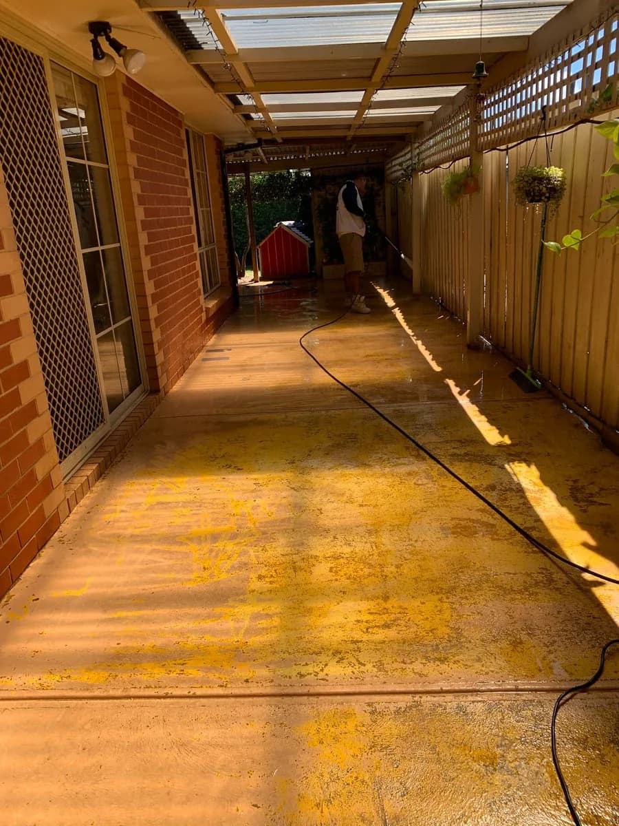 1c7c5ca7-fb8a-4077-ace6-e76dd1408028 photo 1