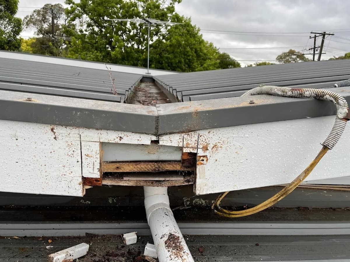 22512367-7476-4699-ae90-7644f1536634 photo 1