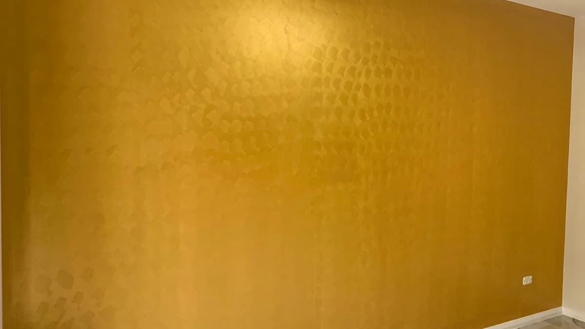 2876ae73-2578-420c-b7f6-b101399e2380 photo 1