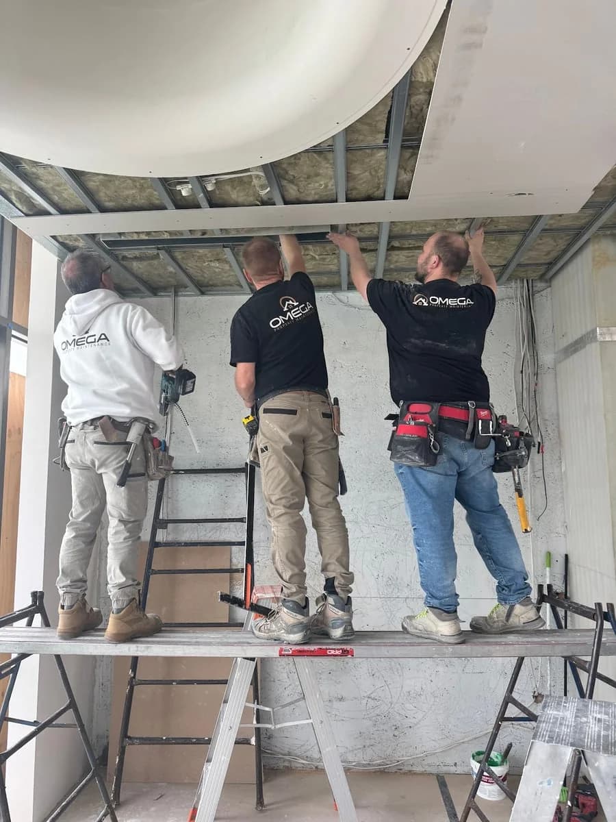 31491e7a-1bda-4b4d-a64b-5ade3d42a893 photo 1