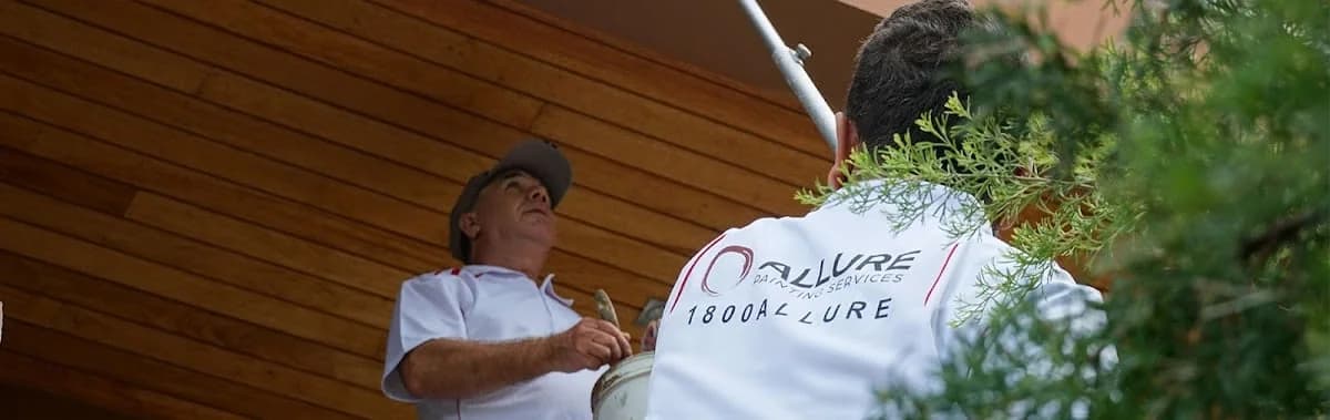 322558c8-142c-4a2e-a9d4-8e653a65252f photo 1