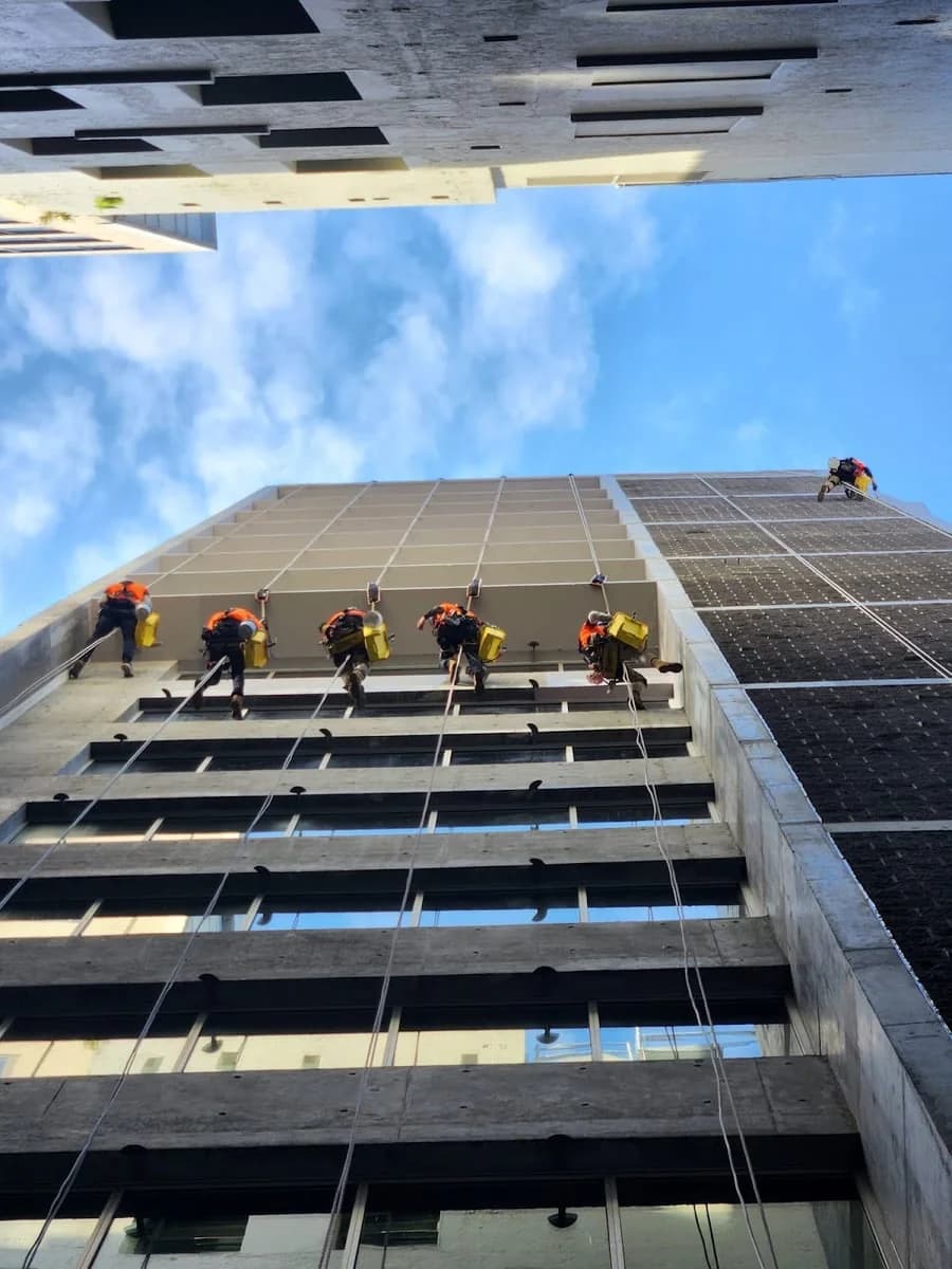 325804c5-2879-45b6-9d4a-88963865f23e photo 1