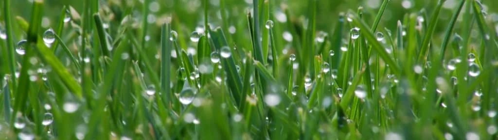 379b3e82-4ddc-4f42-a64f-26f174d374c1 photo 1