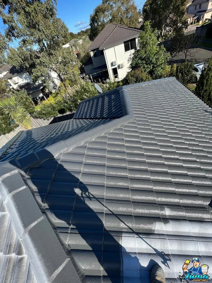 Luma Painting - Project 2