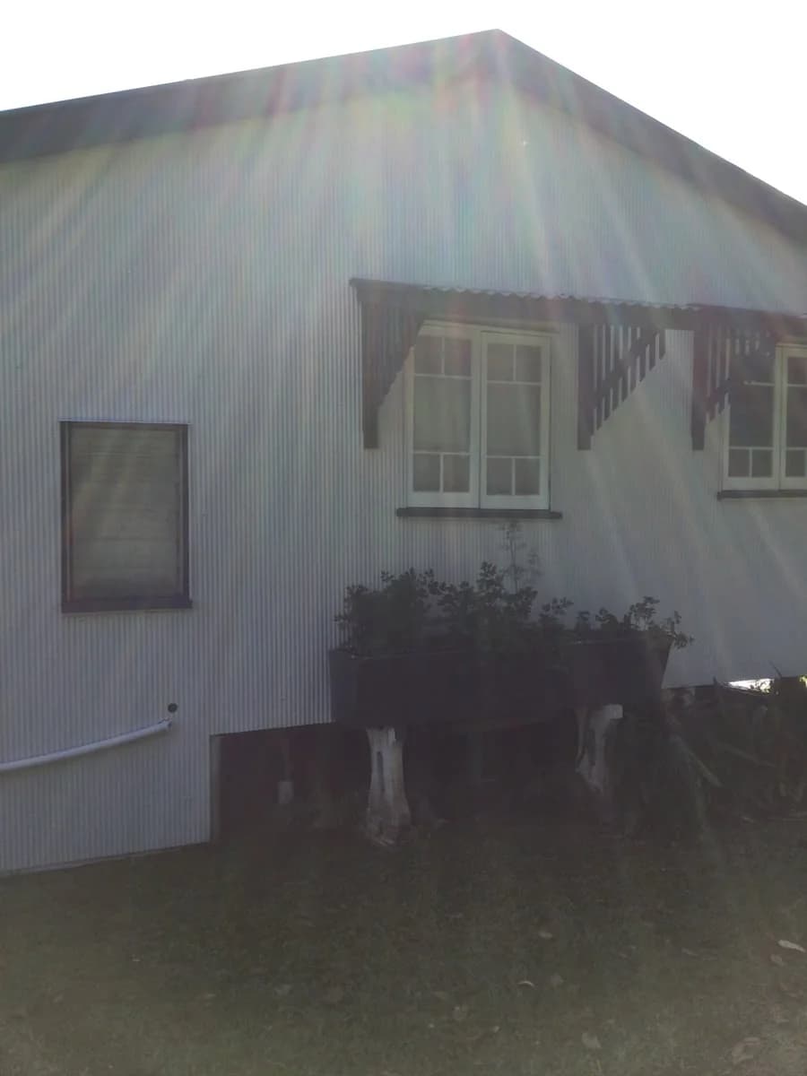 Anthony Thompson Painting - Project 2