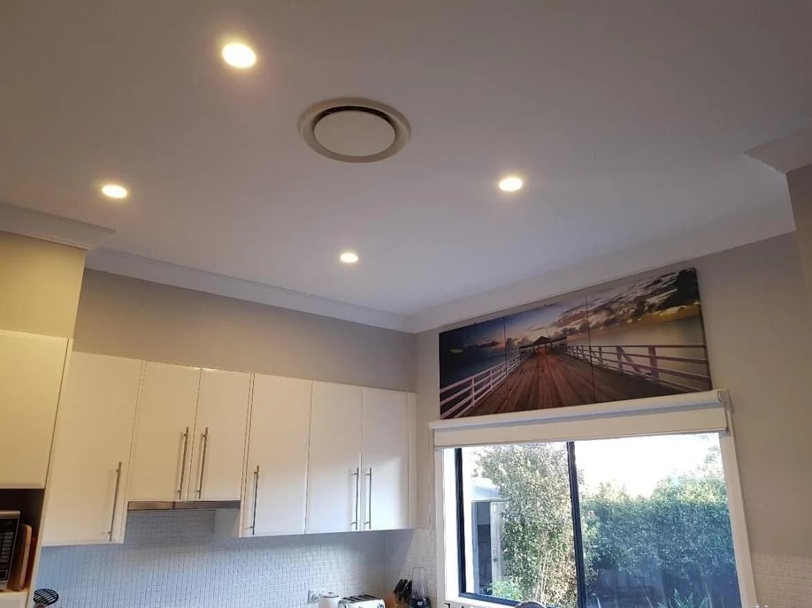 Vertex professional painting - Project 5