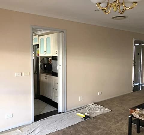 Safatli Painter - Project 5