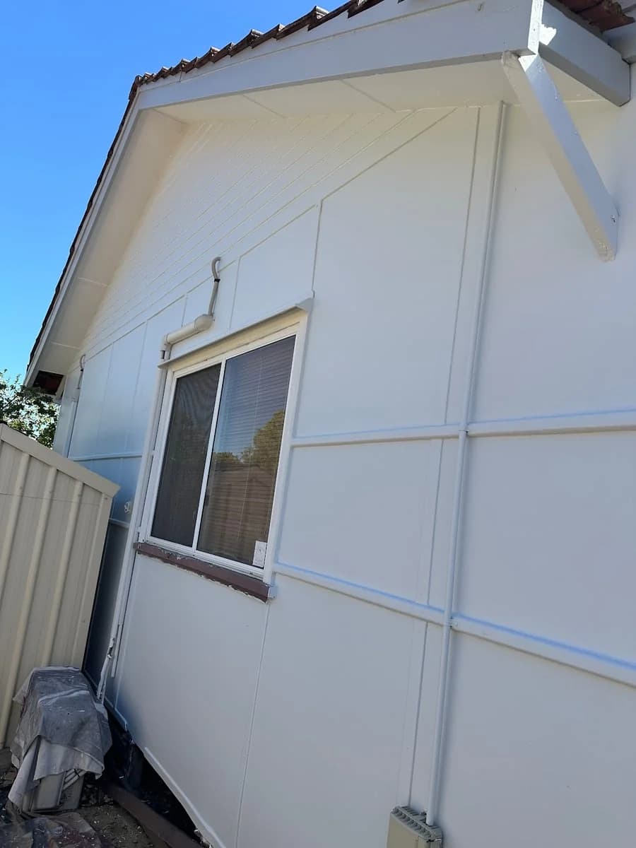 Rabot painting - Project 5