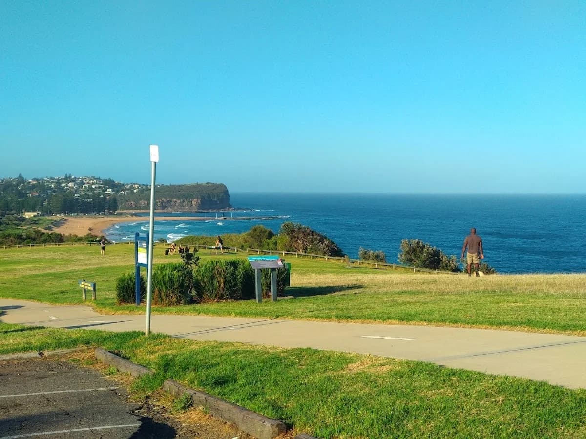 5a9b23de-2cb1-4146-910a-1dd0a0cf0546 photo 1