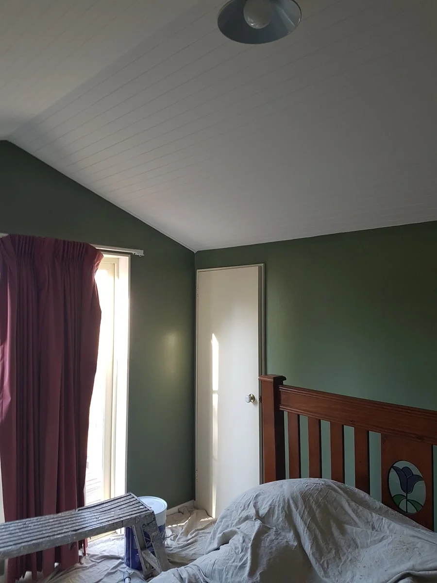 HIGH COUNTRY PAINTING - Project 3