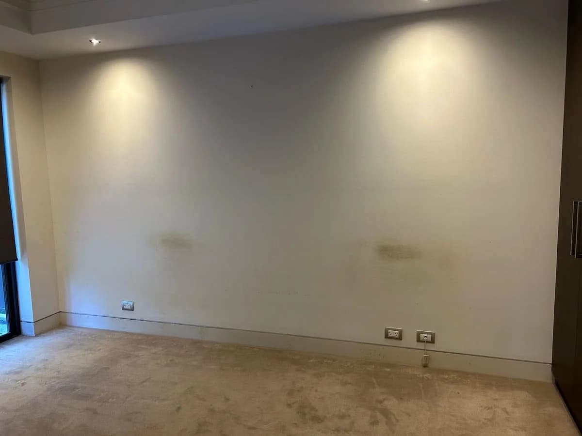 5cbfce14-bace-4a29-9895-98f2396cbf08 photo 1