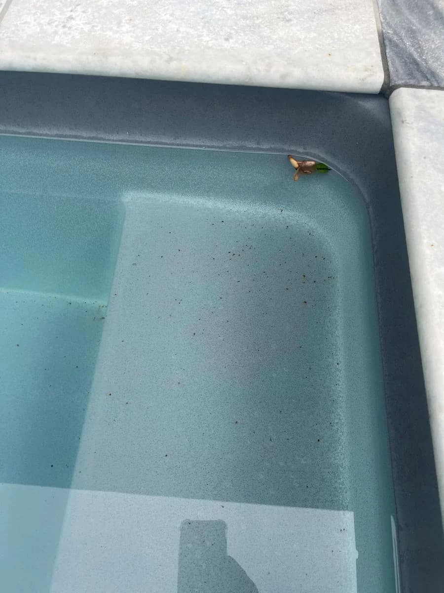 Aizer Group - Project 2