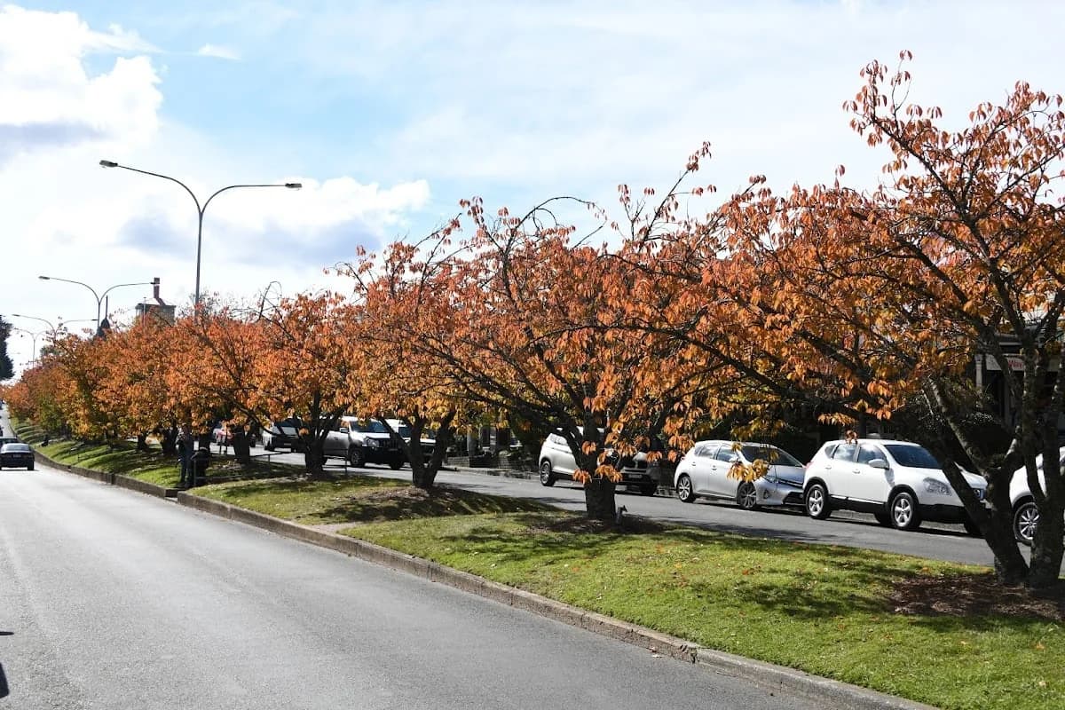 Adrian Gilbert Art - Project 3