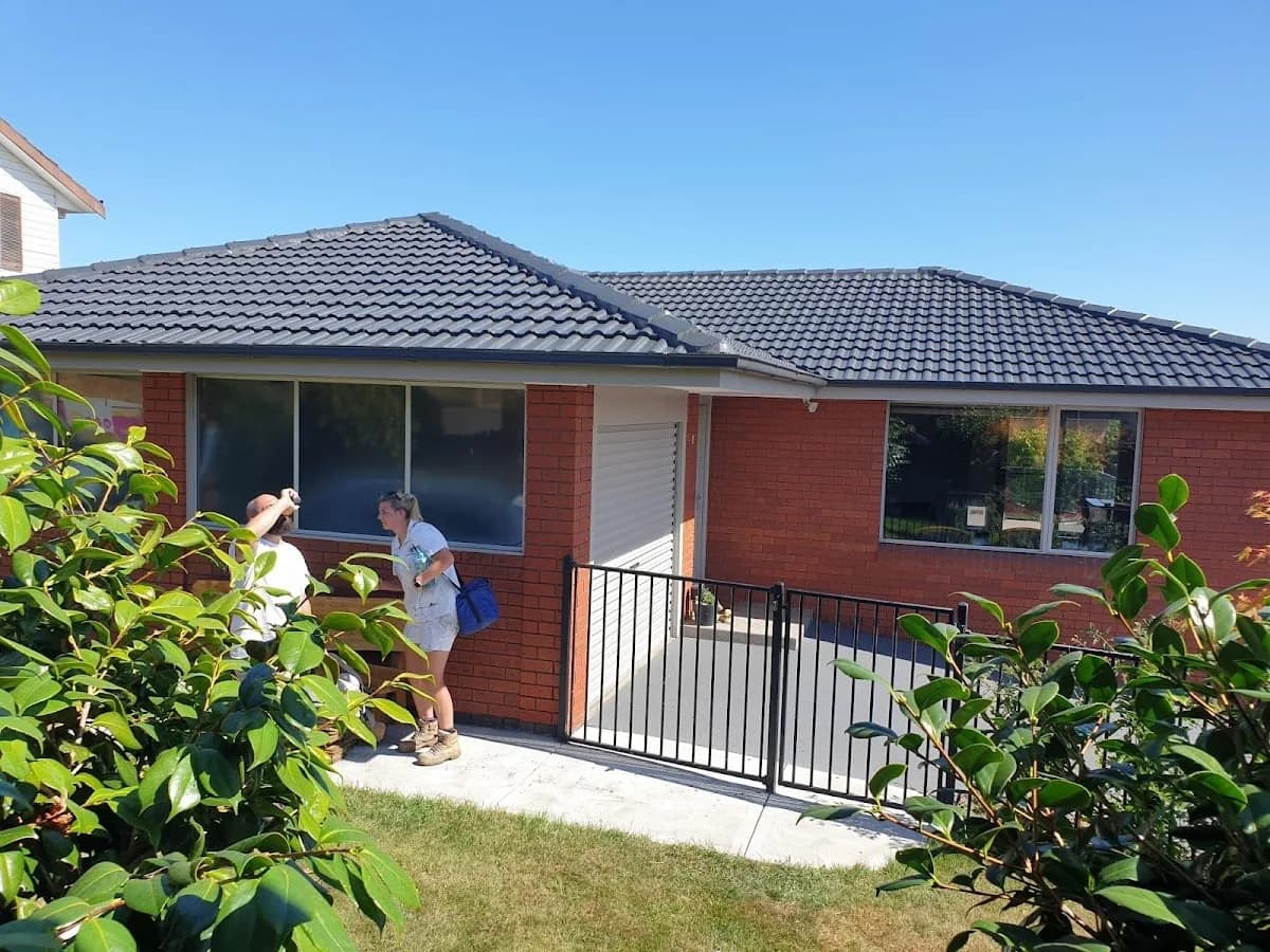 Apex Painting Solutions - Project 4