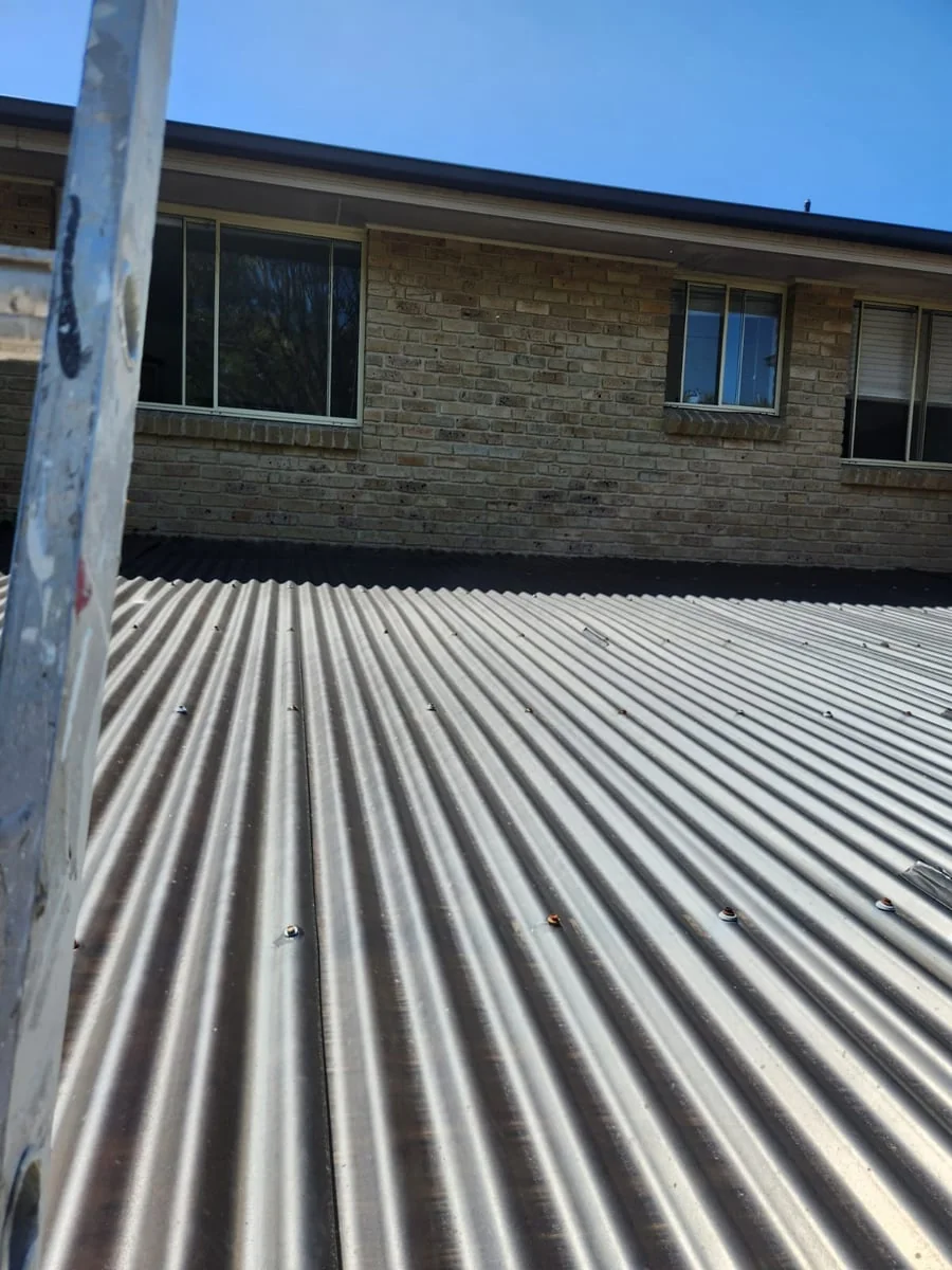 Violet Painting - Project 2