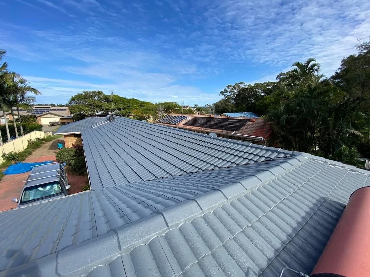 Need a Paint - Project 4