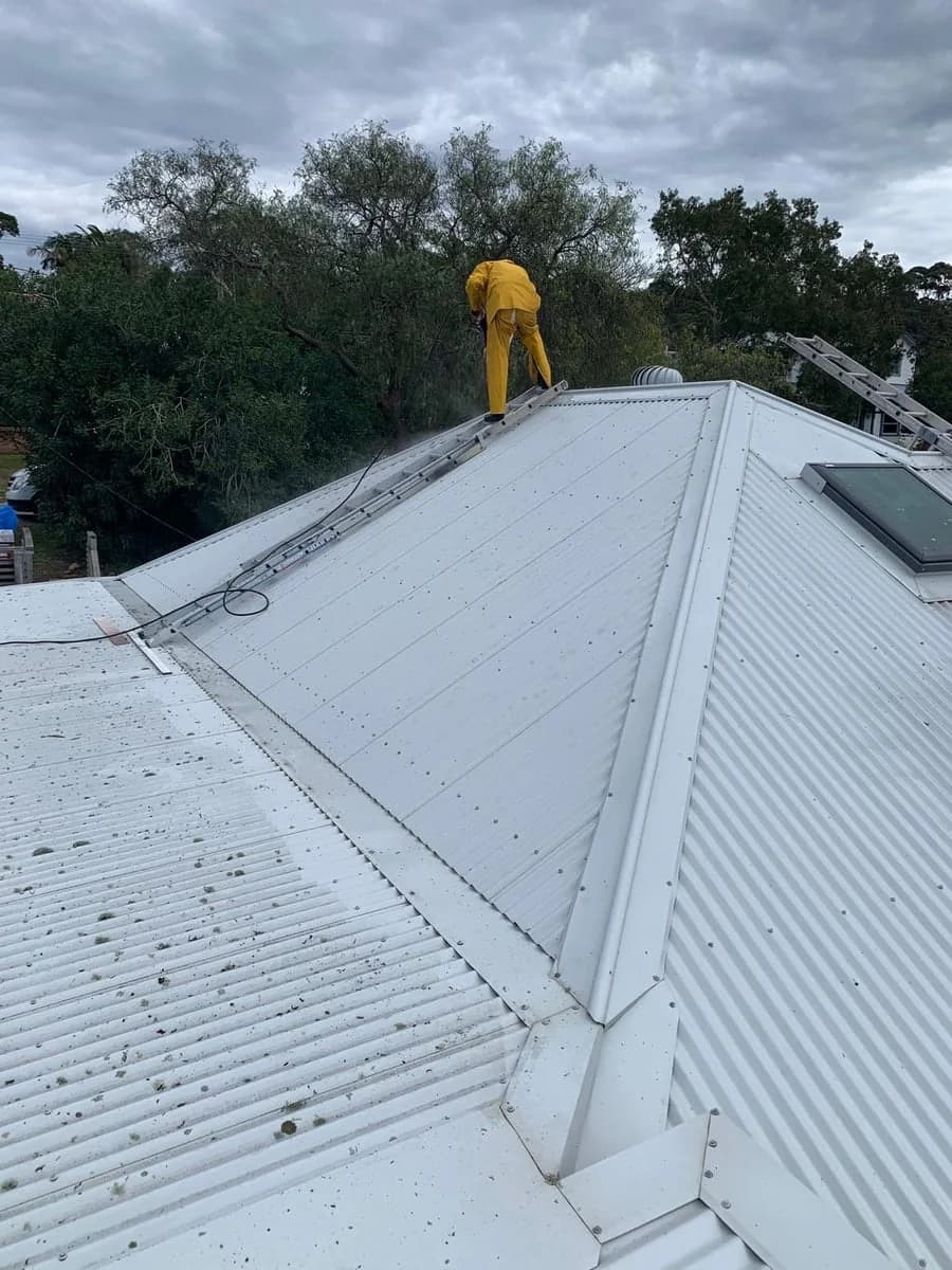 opal professional company - Project 4