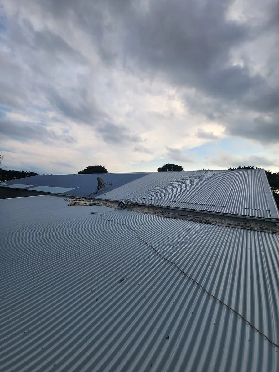 Bernies Painting - Project 4