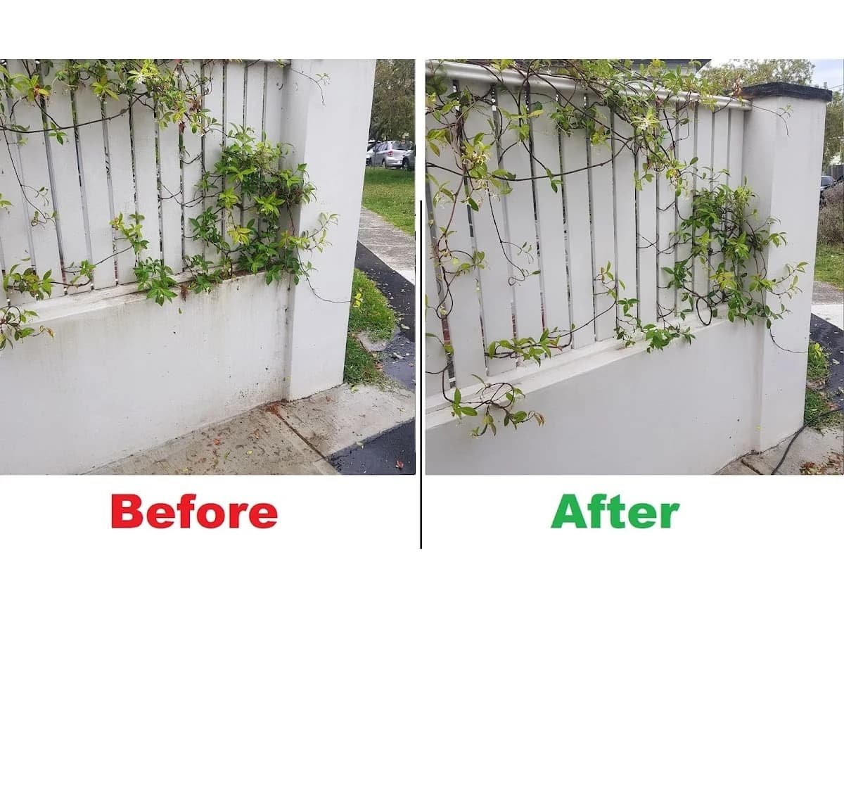 881d9891-5aae-47b9-92a9-bc8b1b20ed77 photo 1