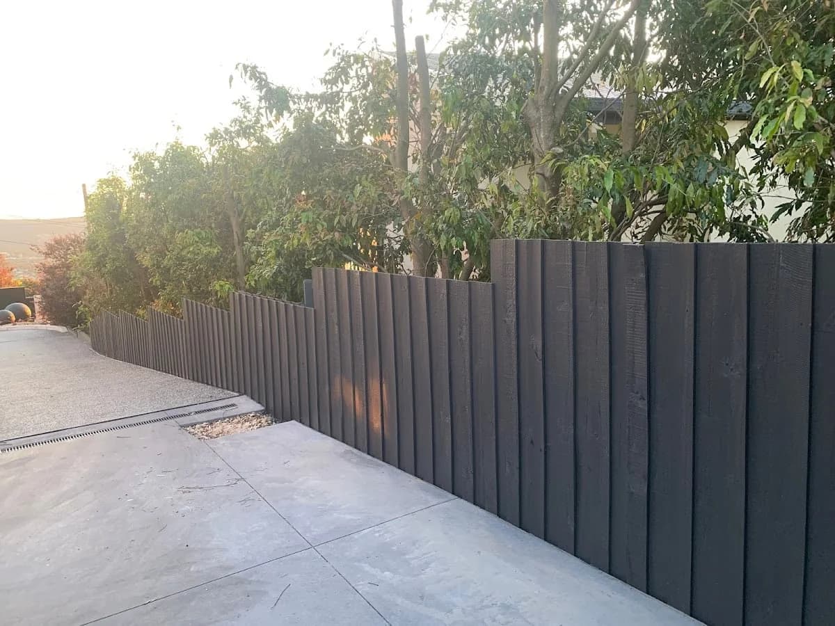 Apollo Painters & Plastering - Project 2