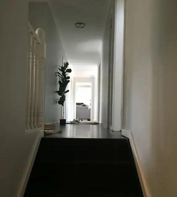 9258c077-0460-4046-8110-6ce97320a713 photo 1