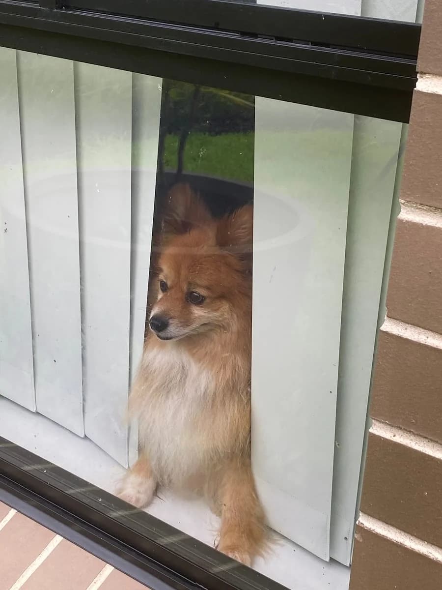 9652c840-b7d1-4402-a585-dcb73ba12ef3 photo 1