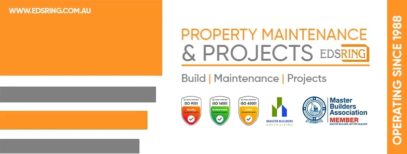 9666ec82-9ac7-4fc9-919d-709f26ede496 photo 1