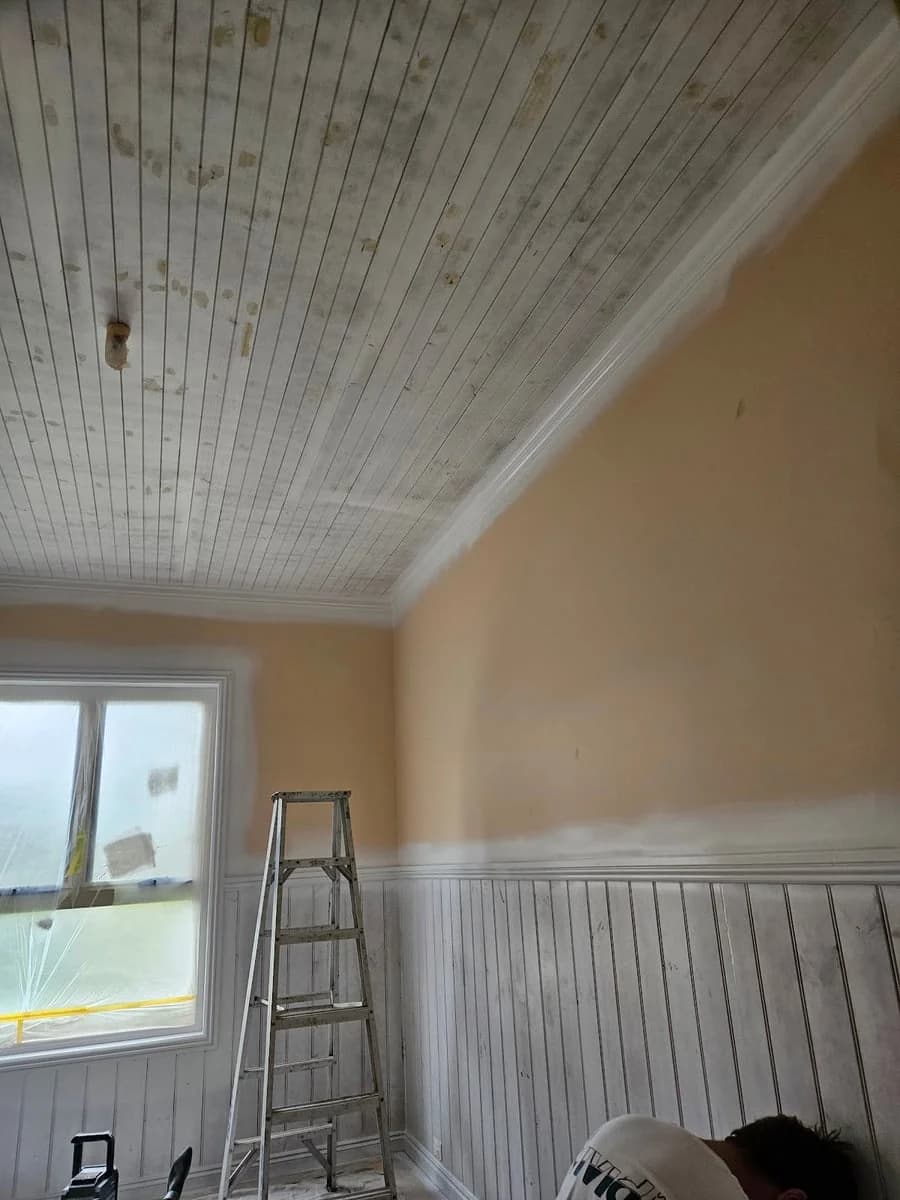 Vivid Coats - Project 3