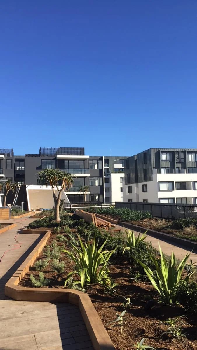 Finesky Painting - Project 2