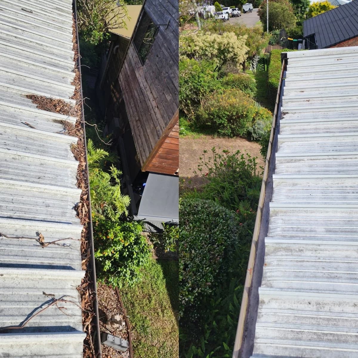 9d3e6309-db56-4d8d-ac4d-2eea38c2c00d photo 1