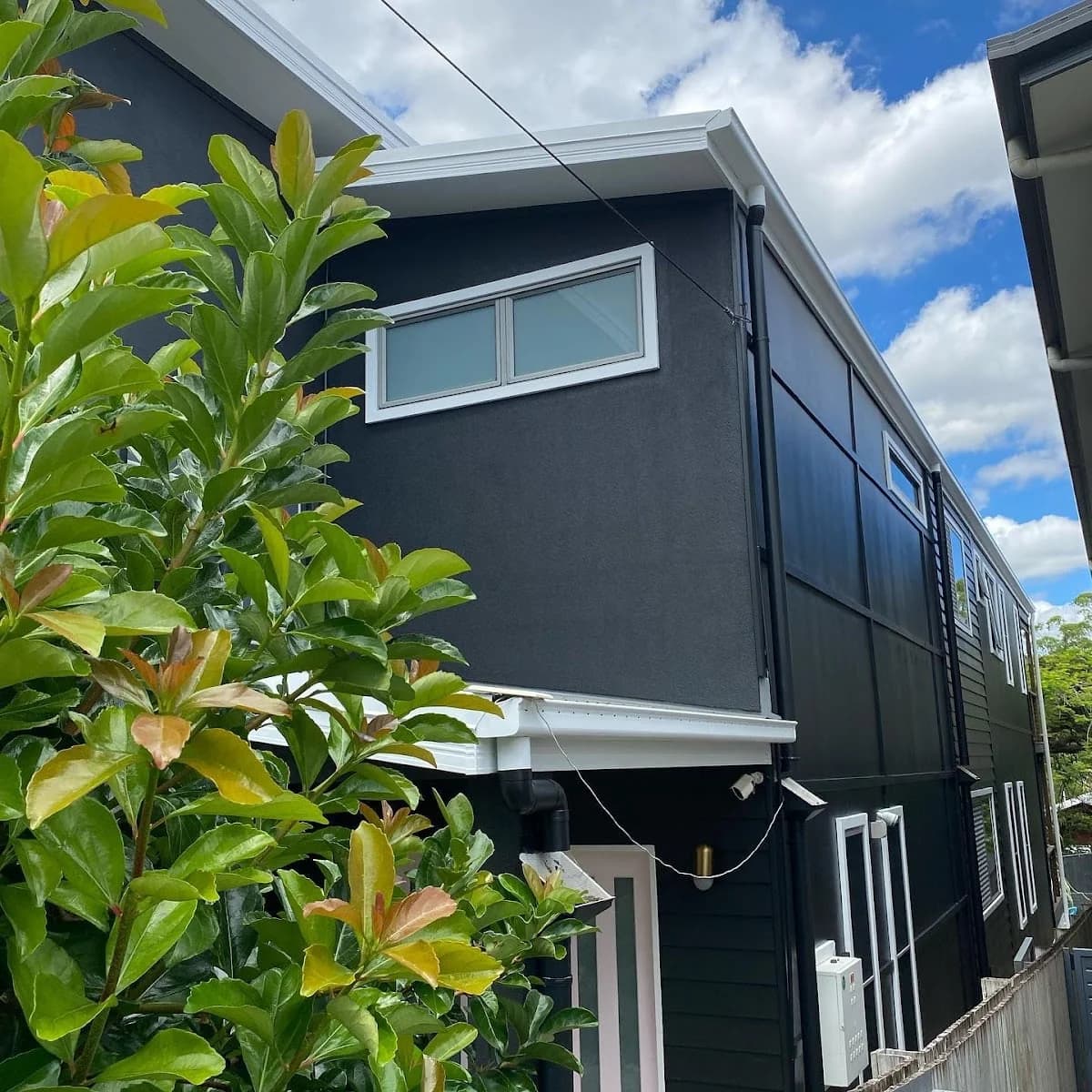 Wolfpac Painters - Project 4