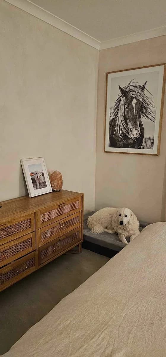 Stylemaster Painters - Project 2