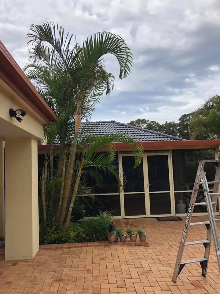 Troy Davies Painting - Project 2