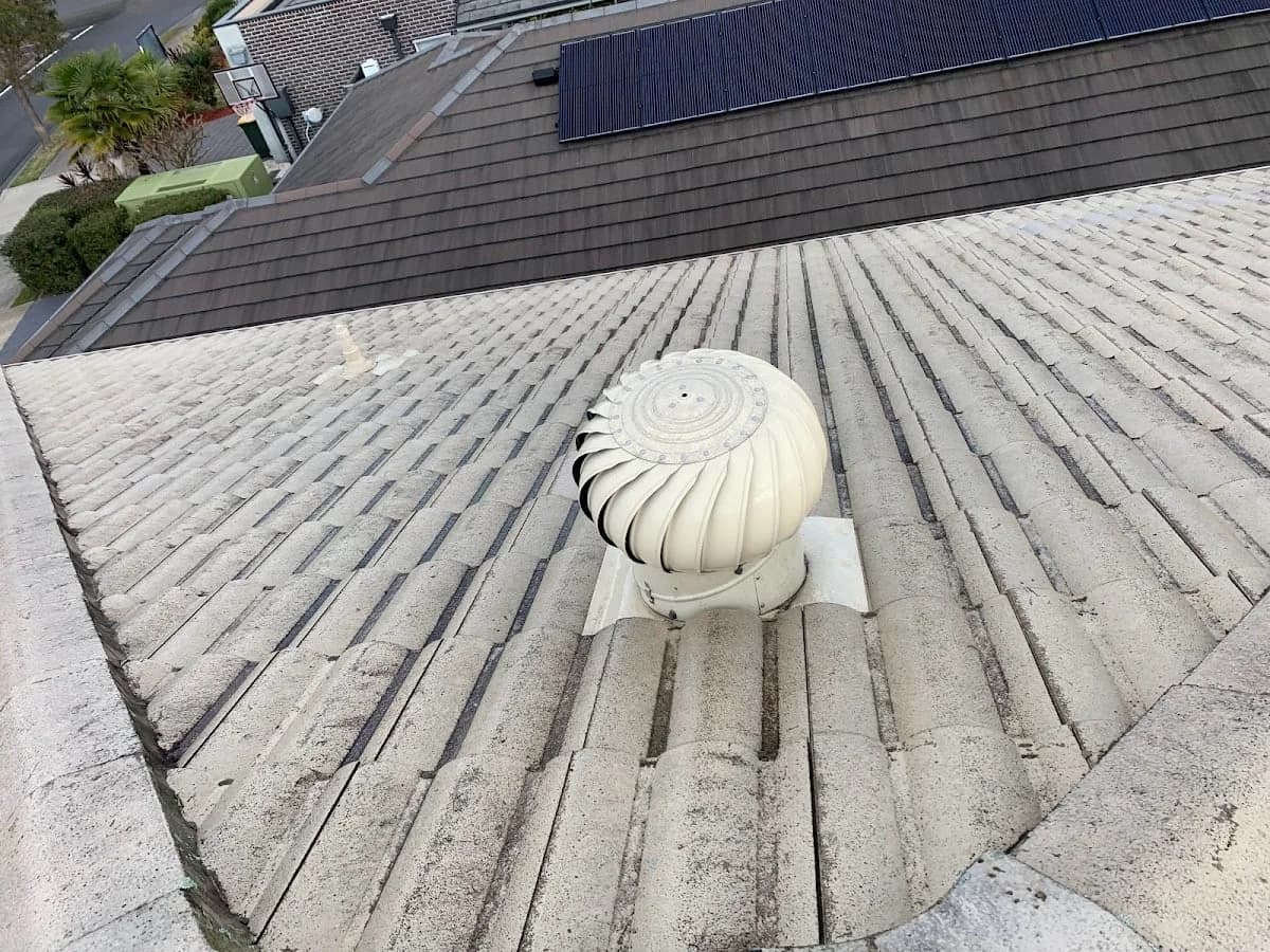 a3d7b090-0ed5-4138-bfed-6a10b734a781 photo 1