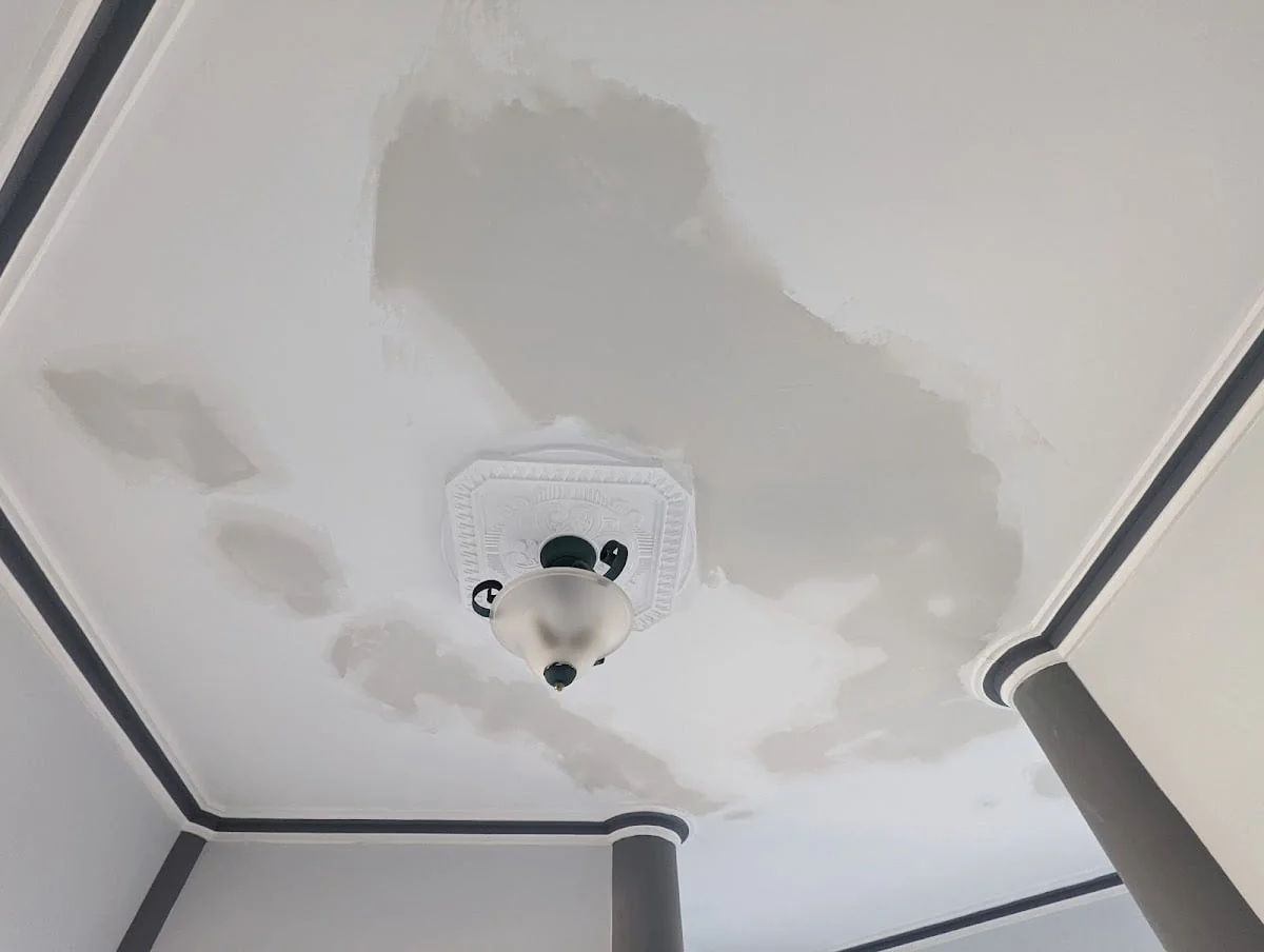 Precision Painting Perth - Project 3