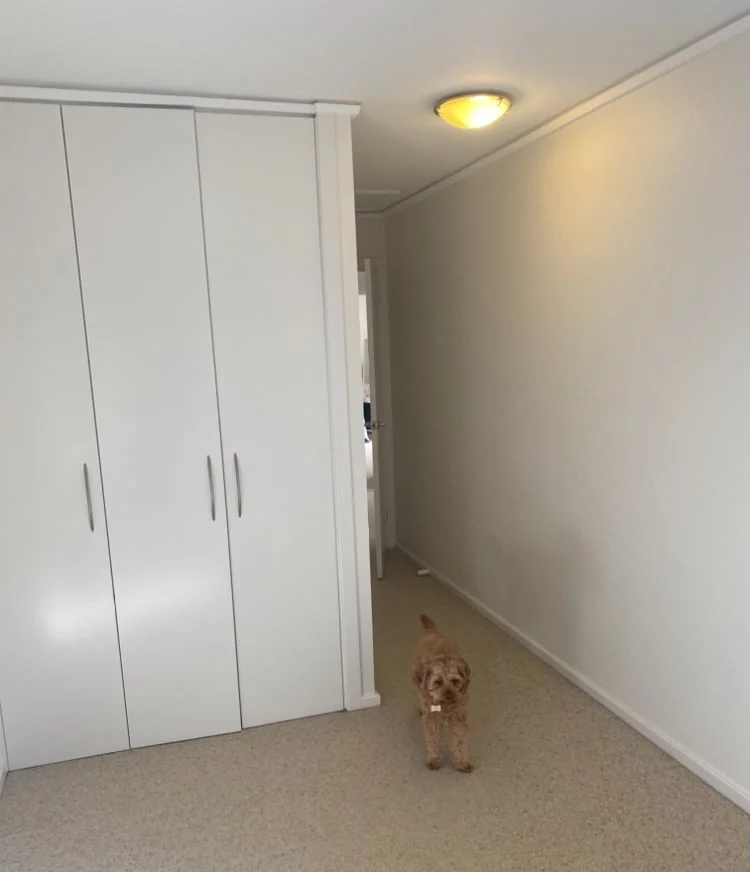 a7966986-b1d7-4d51-999f-a627682c16e6 photo 1