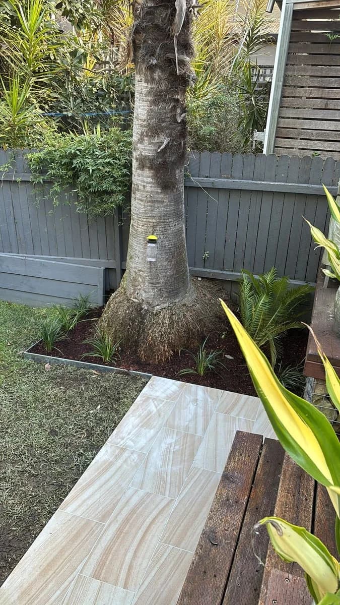 Just Screw It - Project 5