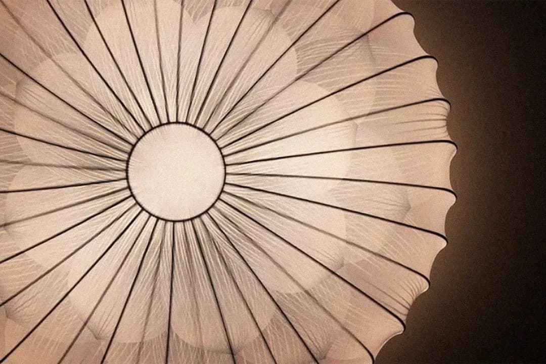 ab4579b2-f6fd-4de9-89c4-a846de826821 photo 1