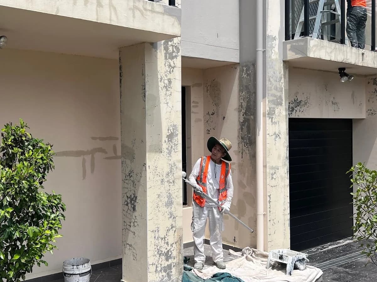 AusDragon Painting Service - Project 4