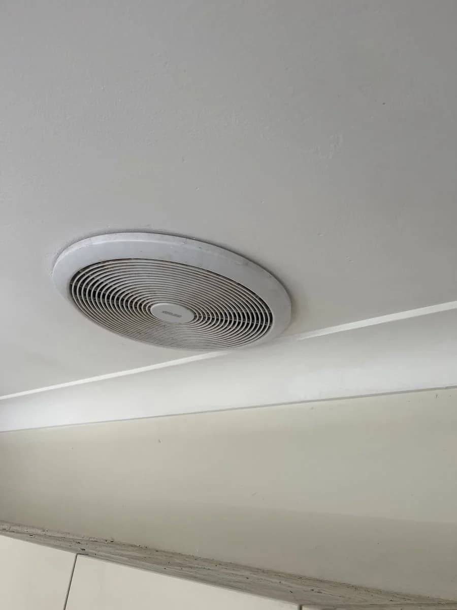 Adams Painting - Project 5