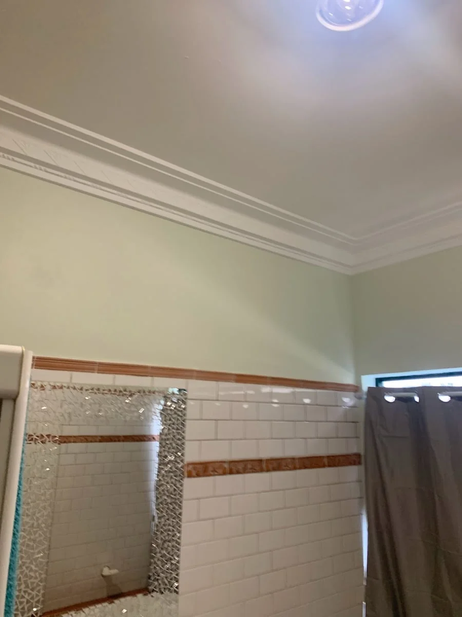 Adams Painting - Project 2