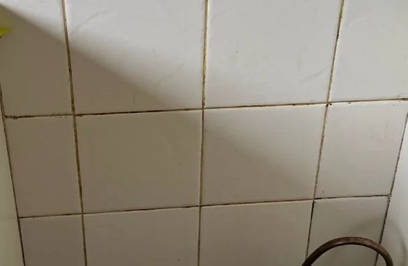 Z Renovation - Project 1