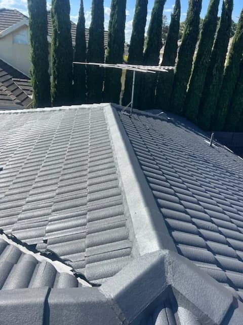 Quest Paintings - Project 2