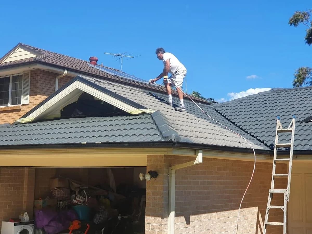 Napoleons Painting & Plastering - Project 2