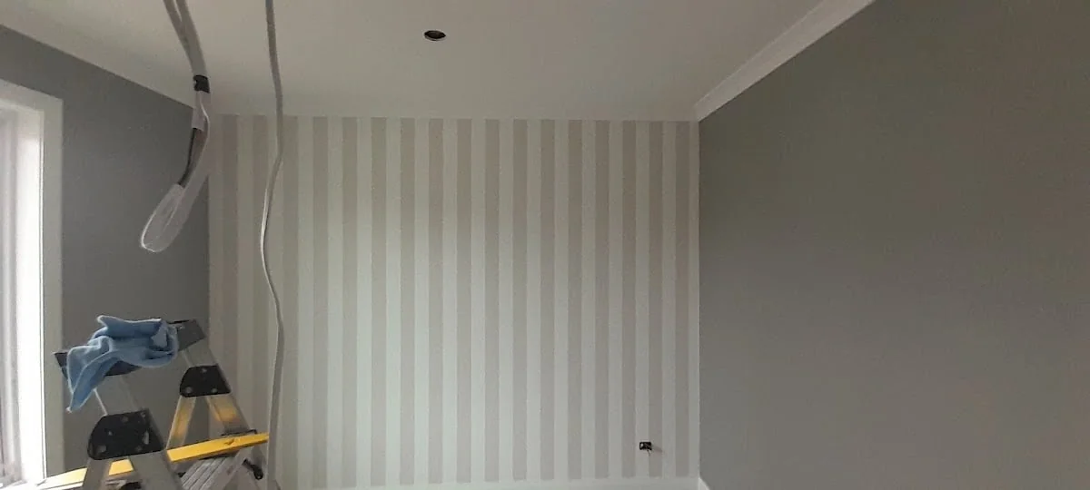 SKD painting and decorating - Project 4