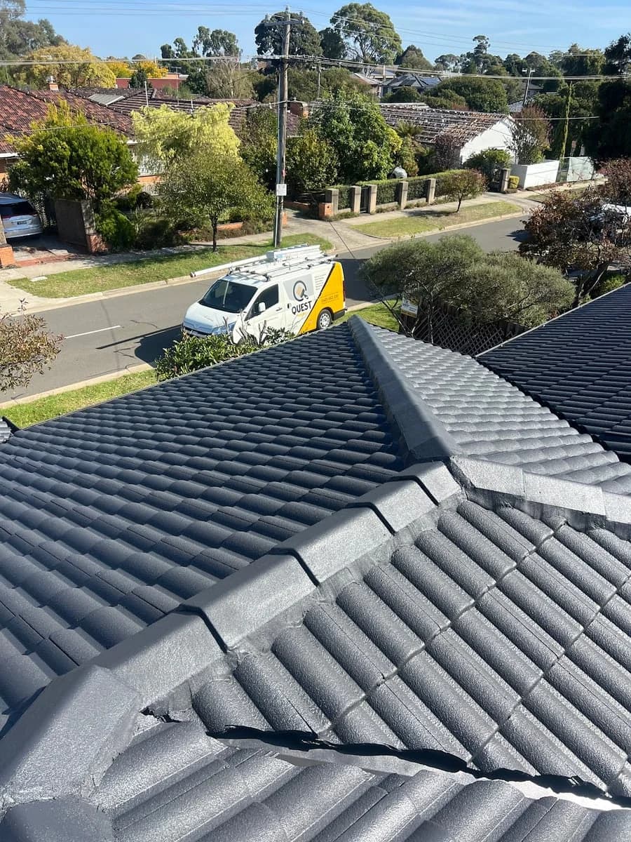 Quest Paintings - Project 3